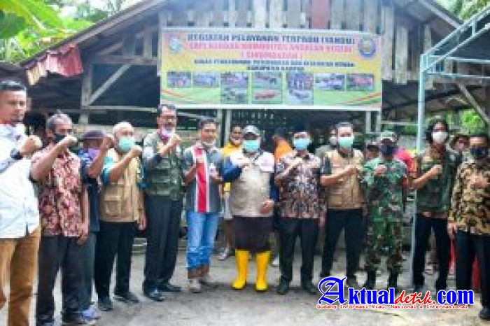 Bupati Kampar Resmikan Sosialisasi Edukasi Pemeliharaan Ternak Sapi